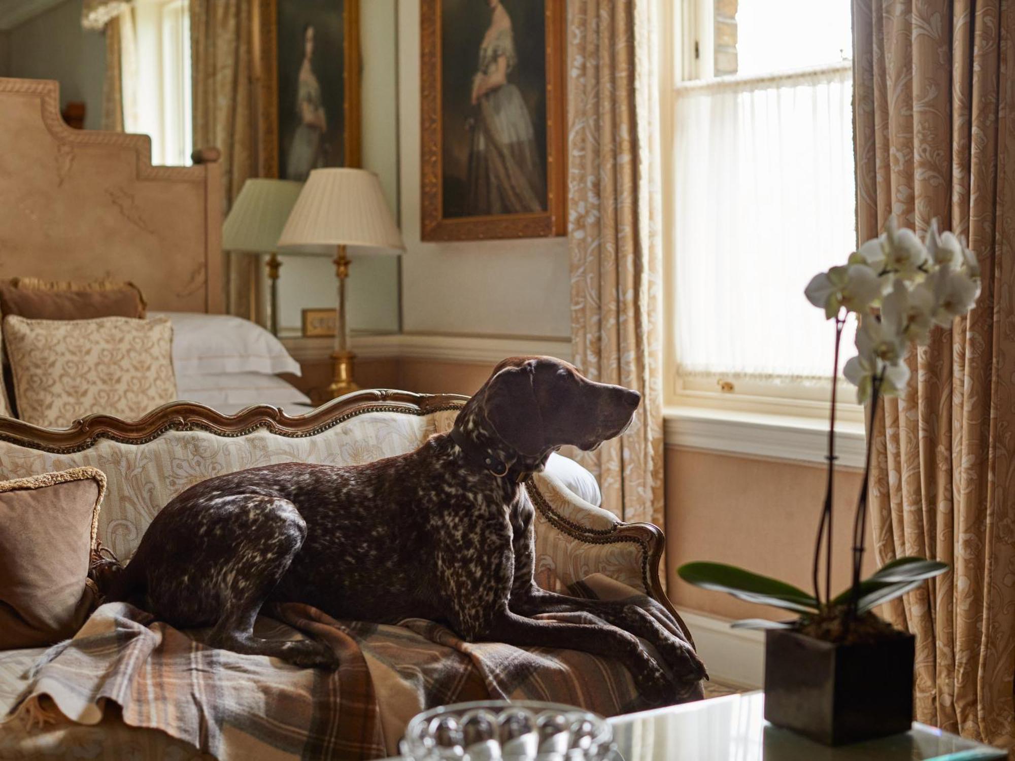 Отель Egerton House Лондон Экстерьер фото
